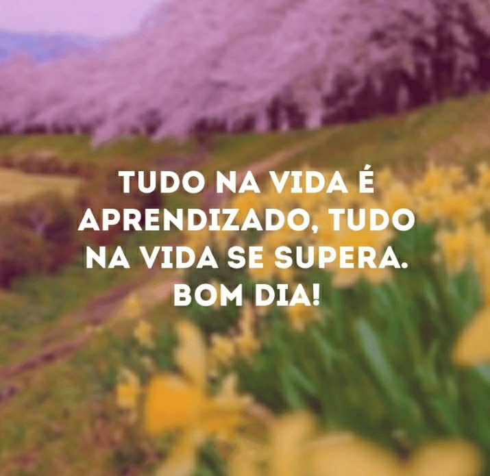 bom dia com gratidão a deus