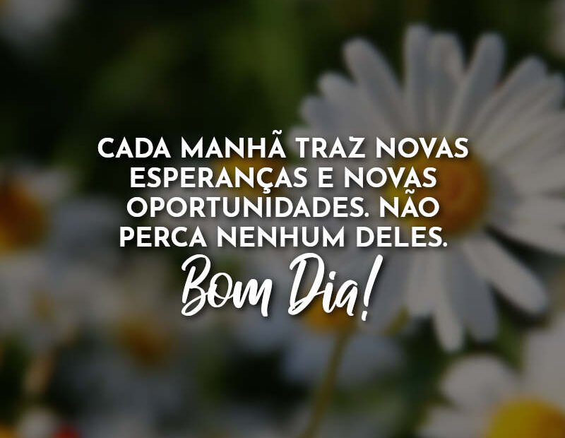 bom dia com alegria e gratidão
