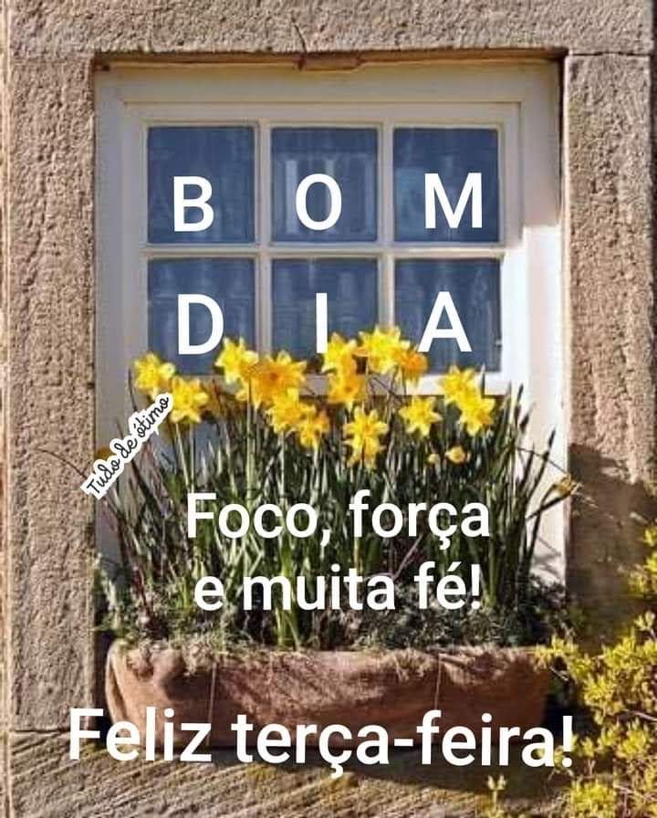 terça feira bom dia

