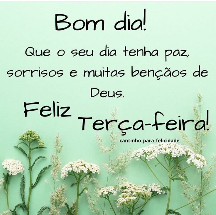 bom dia terça feira motivacional