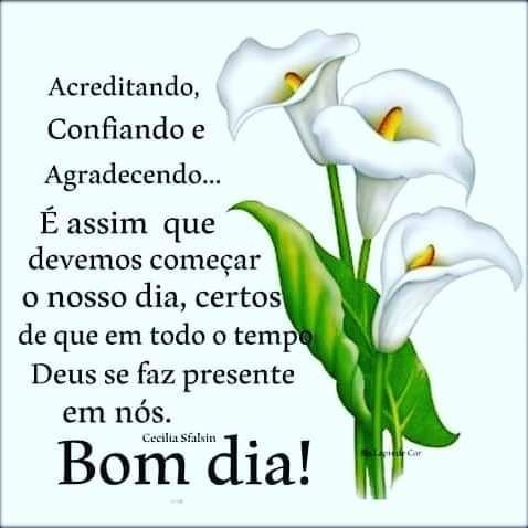 Bem vindo maio