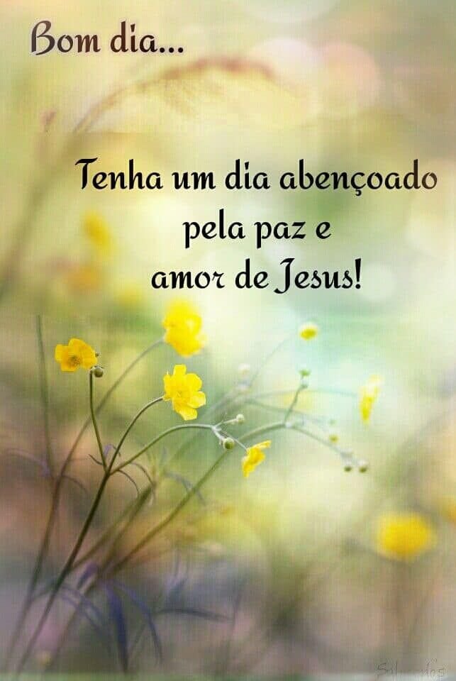 msg de bom dia