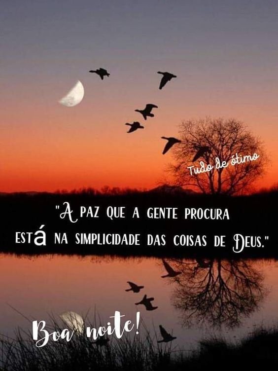 boa noite sabado